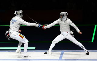 Image of Fencing