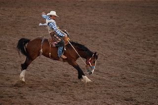 Image of Rodeo
